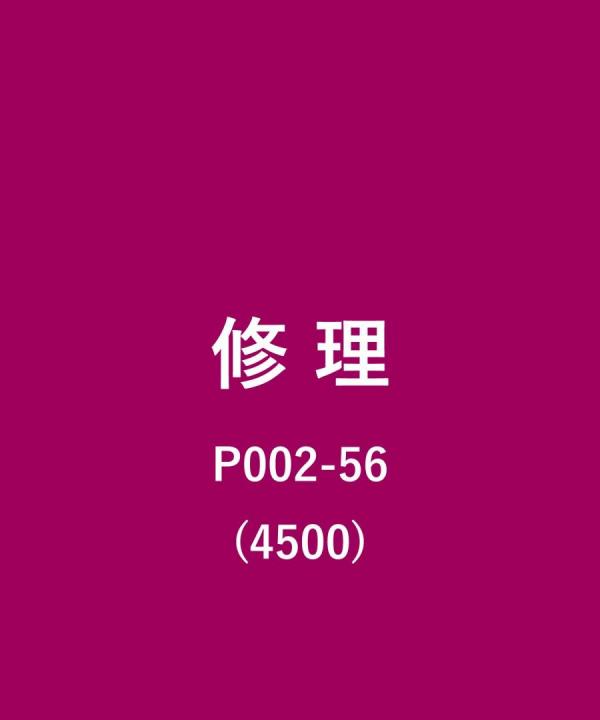 その他/4500