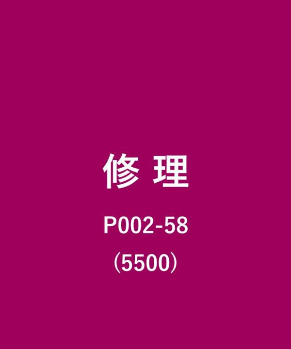 その他/5500