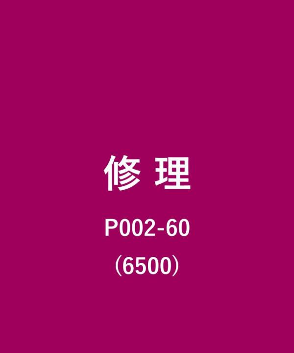 その他/6500